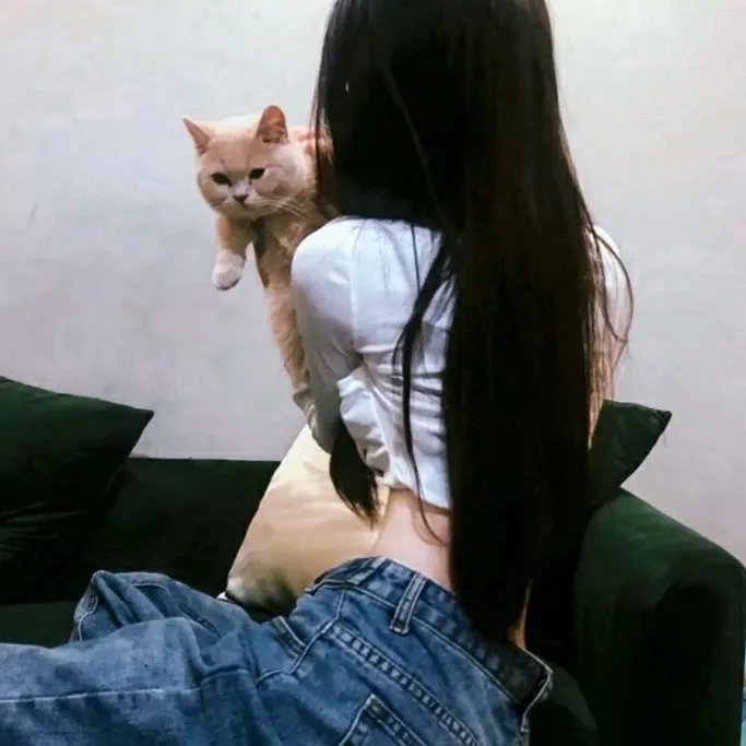 亲爱的外人封面