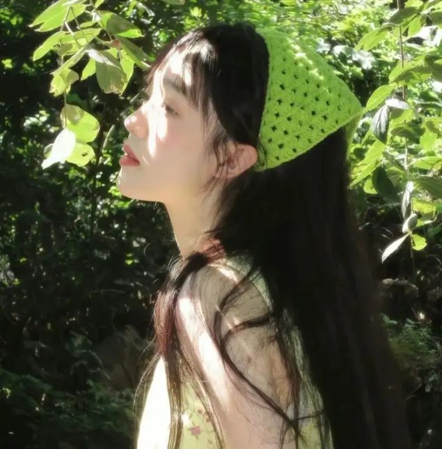石花园封面